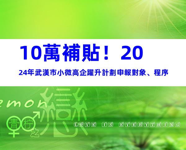 10萬補貼！2024年武漢市小微高企躍升計劃申報對象、程序