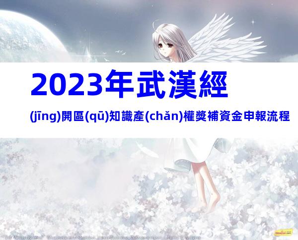 2023年武漢經(jīng)開區(qū)知識產(chǎn)權獎補資金申報流程、條件及時間