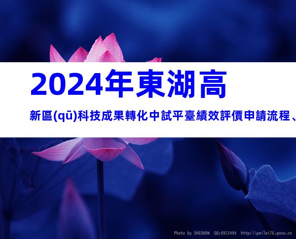 2024年東湖高新區(qū)科技成果轉化中試平臺績效評價申請流程、時間、對象介紹