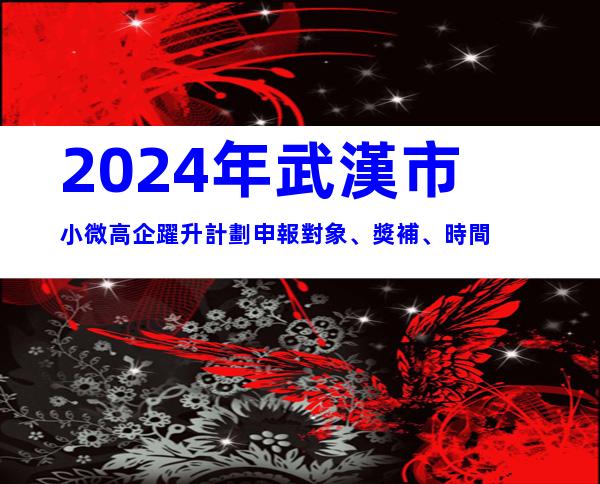2024年武漢市小微高企躍升計劃申報對象、獎補、時間