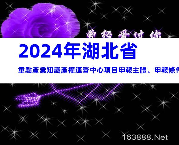 2024年湖北省重點產業知識產權運營中心項目申報主體、申報條件及材料