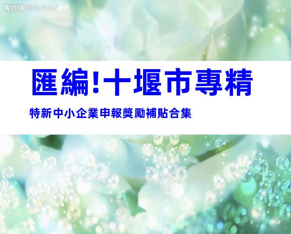 匯編!十堰市專精特新中小企業申報獎勵補貼合集