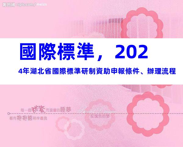 國際標準，2024年湖北省國際標準研制資助申報條件、辦理流程