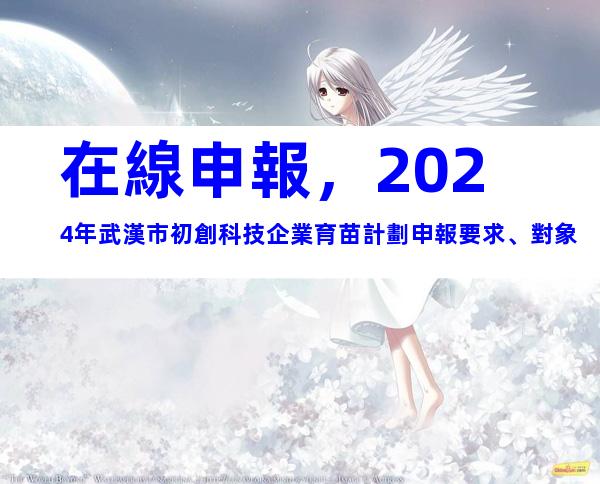 在線申報，2024年武漢市初創科技企業育苗計劃申報要求、對象