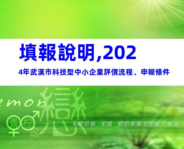 填報說明,2024年武漢市科技型中小企業評價流程、申報條件
