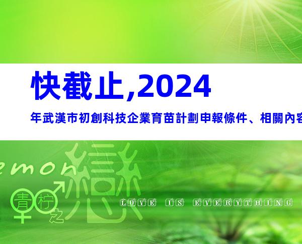 快截止,2024年武漢市初創科技企業育苗計劃申報條件、相關內容