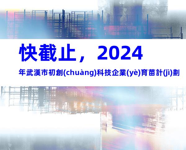 快截止，2024年武漢市初創(chuàng)科技企業(yè)育苗計(jì)劃申報(bào)條件、相關(guān)內(nèi)容