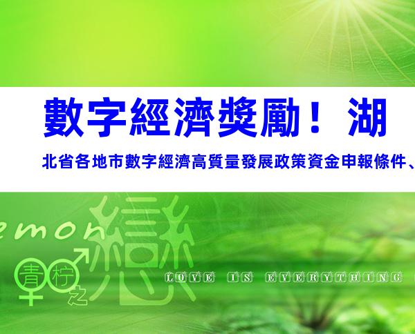數字經濟獎勵！湖北省各地市數字經濟高質量發展政策資金申報條件、流程指南