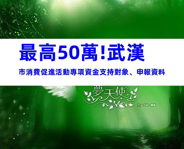 最高50萬!武漢市消費促進活動專項資金支持對象、申報資料