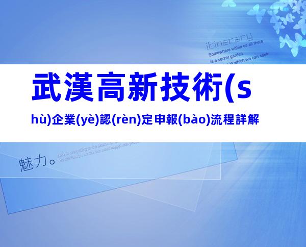 武漢高新技術(shù)企業(yè)認(rèn)定申報(bào)流程詳解