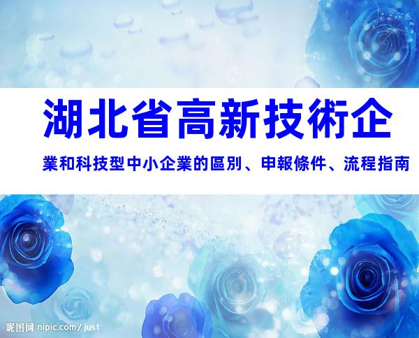 湖北省高新技術企業和科技型中小企業的區別、申報條件、流程指南
