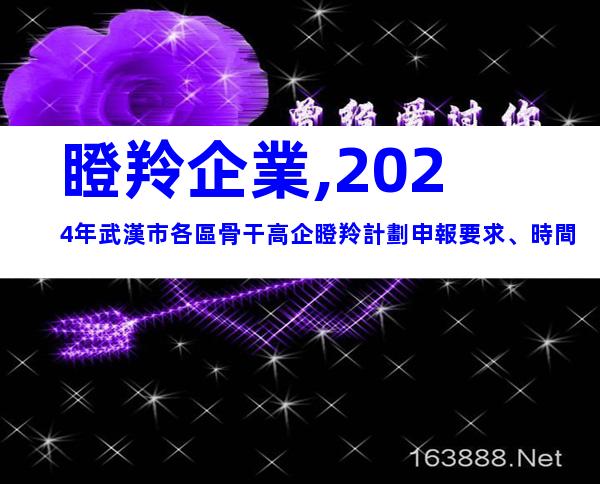 瞪羚企業,2024年武漢市各區骨干高企瞪羚計劃申報要求、時間