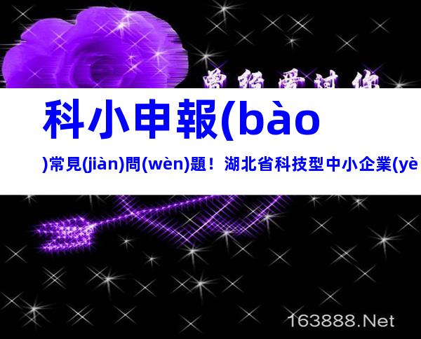 科小申報(bào)常見(jiàn)問(wèn)題！湖北省科技型中小企業(yè)申報(bào)條件、好處梳理