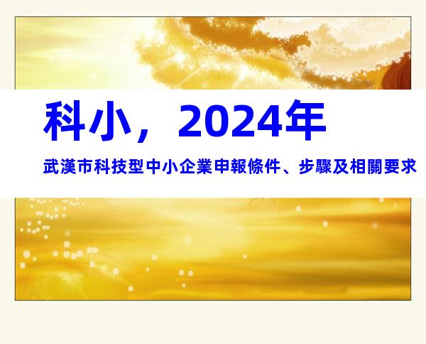 科小，2024年武漢市科技型中小企業申報條件、步驟及相關要求