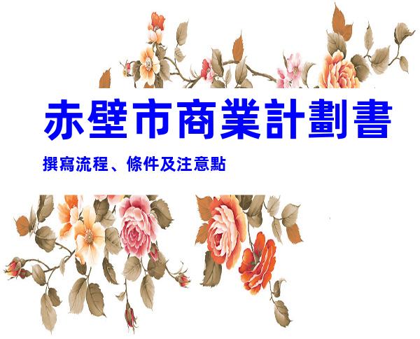 赤壁市商業計劃書撰寫流程、條件及注意點