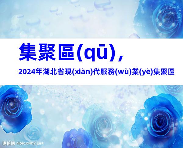 集聚區(qū)，2024年湖北省現(xiàn)代服務(wù)業(yè)集聚區(qū)認(rèn)定材料、申報(bào)條件及流程