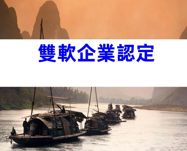 雙軟企業認定